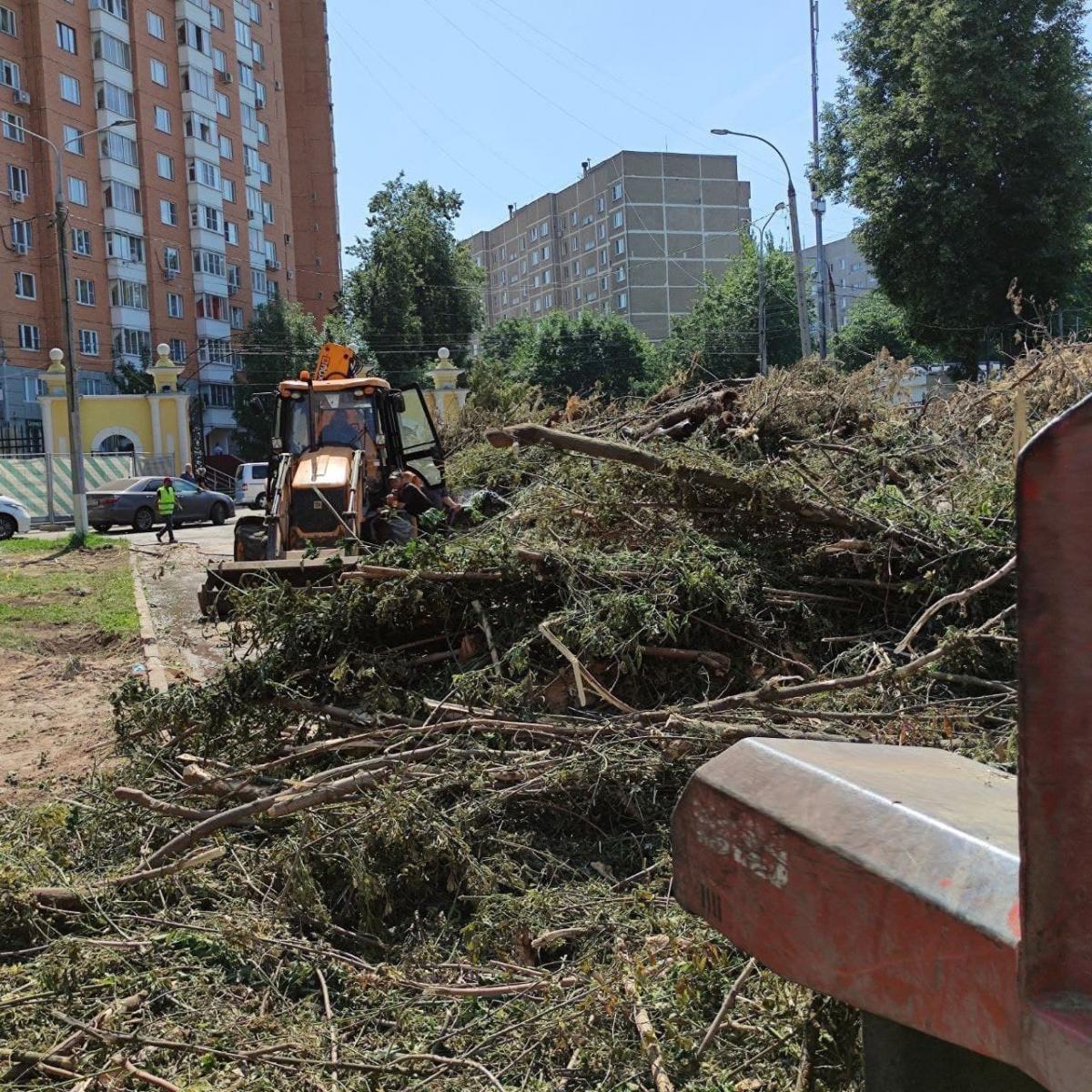 городской парк подольска